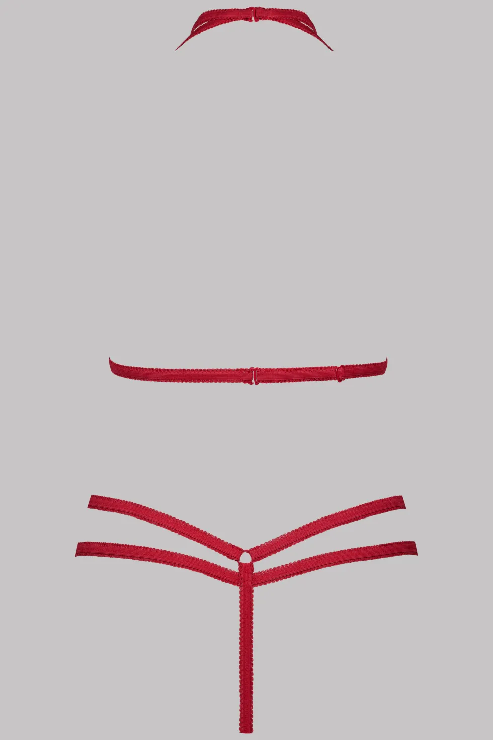 Le Petit SecretEnsemble Harnais & String
